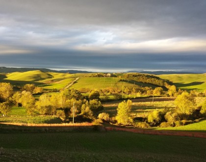 L’ABBAZIA DI MONTE OLIVETO MAGGIORE E LE CRETE SENESI