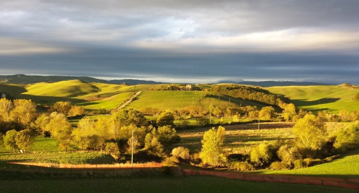 THE ABBEY OF MONTE OLIVETO MAGGIORE AND THE CLAY HILLS