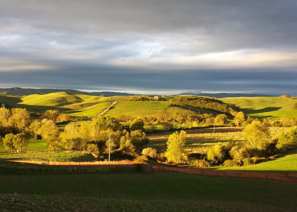 THE ABBEY OF MONTE OLIVETO MAGGIORE AND THE CLAY HILLS